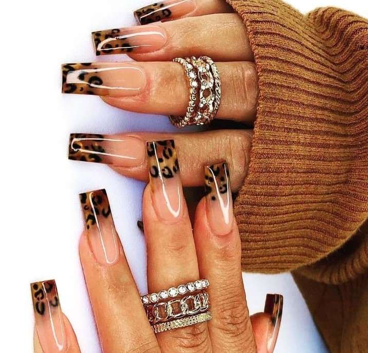 Ombre Leopard Mix