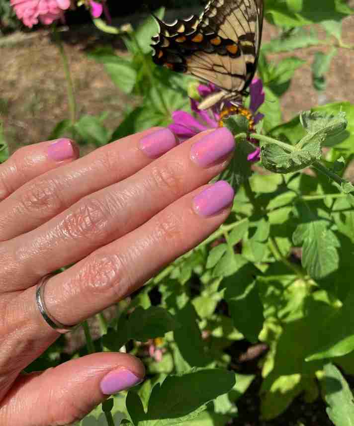 Simple Lavender Shorties